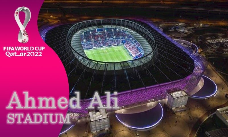 Sân vận động diễn ra các trận đấu World Cup
