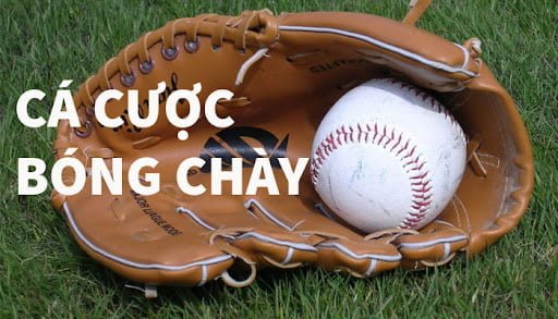 Bóng chày có rất nhiều cách cược