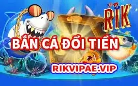 Cá cược bắn cá thu hút người chơi bởi sức hấp dẫn riêng của nó.