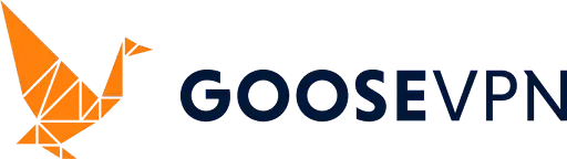 ID ảo Goose VPN giúp người chơi game online ẩn danh khi truy cập