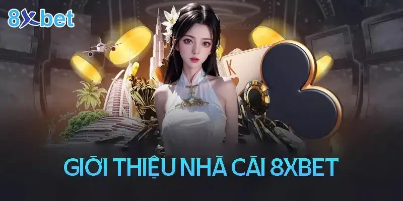Sân chơi đã đồng lòng đầu tư vào việc xây dựng một website hiện đại